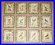 12_Antique_1740_George_Edwards_Hand_Coloured_Ornithological_Engravings_Of_Birds_01_xvq