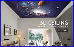 3D Color Light D205 Window Film Print Sticker Cling Stained Glass UV Block Amy