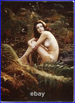 7 Photos Model Female Nature Mounted Print Film Cameras Nb & Colours 1970