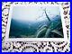 Aloe_Fog_Fujifilm_FP_100c_Color_Photograph_Print_Artist_Scott_Allen_Whitworth_01_kgm