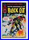 Black_Cat_63_Harvey_Comics_Silver_Age_October_1963_1st_App_Kit_KEY_FN_01_ks