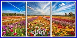 Field of Colourful Flowers 1 set of 3 art triptych canvas / poster Contemporary