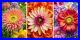 Flowers_Colourful_Wild_Calming_3_set_of_3_art_triptych_canvas_poster_01_bbco