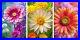Flowers_Colourful_Wild_Calming_4_set_of_3_art_triptych_canvas_poster_01_ozbu