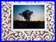 Fujifilm_FP_100c_Nature_Color_Photography_Print_by_Artist_Scott_Allen_Whitworth_01_ezp