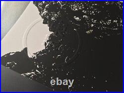 GODZILLA MINUS ONE, GODZILLA MINUS COLOR, Official Movie Poster Screen Print Set