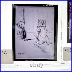 LOUIS WAIN Cat & Dog Paintings Film Slides (No Cardboard) Prints 1900s Set of 9