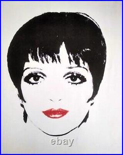 Liza Minnelli lithograph by Andy Warhol Beautiful POP Art #UniqueGift Warhol Art