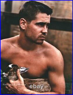 Shirtless COLIN FARRELL Film Actor By BRUCE WEBER Baby Goat Photo Art 16X20