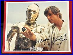 Star Wars Mark Hamill Autograph on Original color 1977 Movie Photograph Still