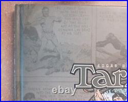 Tarzan The Sunday Comics 1931-1933 Edgar Rice Burroughs Hardcover Dark Horse OOP